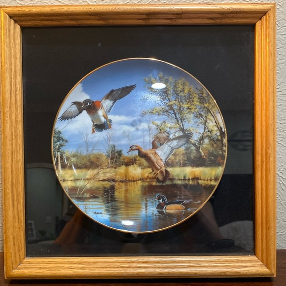 Limited Edition, Framed Collector Plate, by David Masss… Settling In - Picture 1 of 9